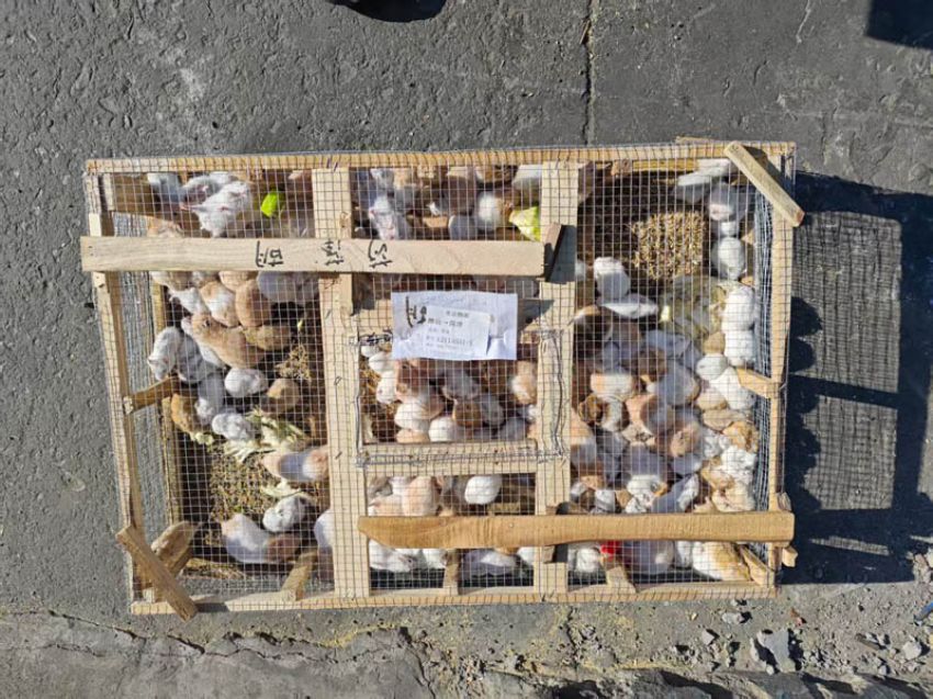 點擊查看詳細(xì)信息<br>標(biāo)題：發(fā)貨現(xiàn)場 閱讀次數(shù)：0